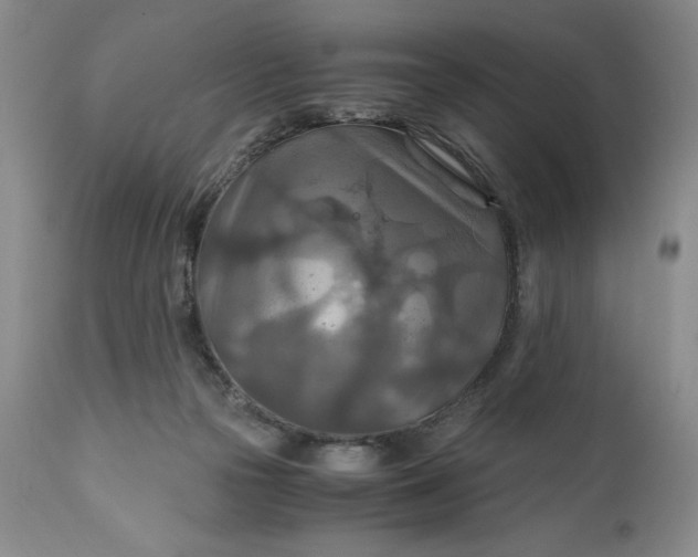 X0000110930169200907021531