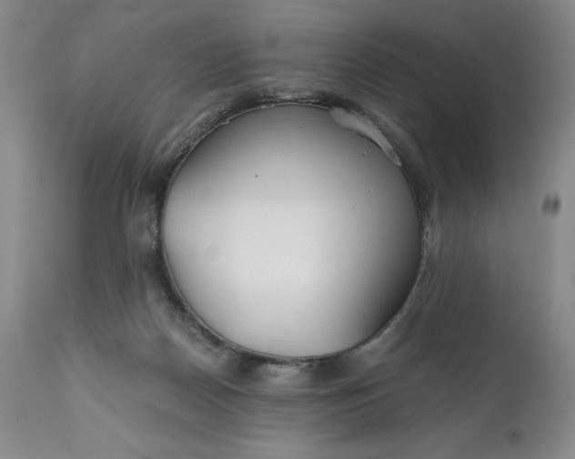 X0000110930170200907021531