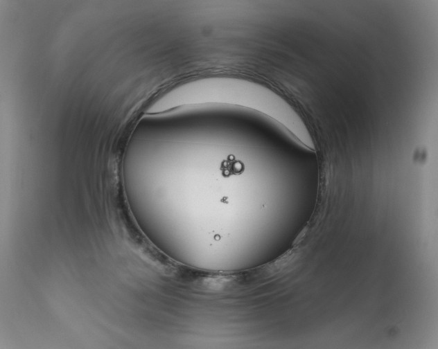 X0000110930172200907021531