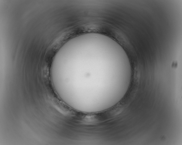 X0000110930173200907021531
