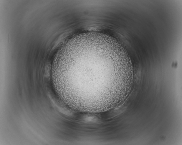 X0000110930175200907021531