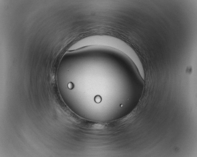 X0000110930176200907021531