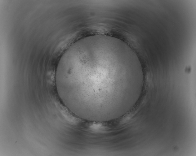 X0000110930177200907021531