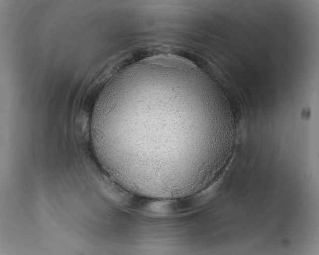 X0000110930178200907021531