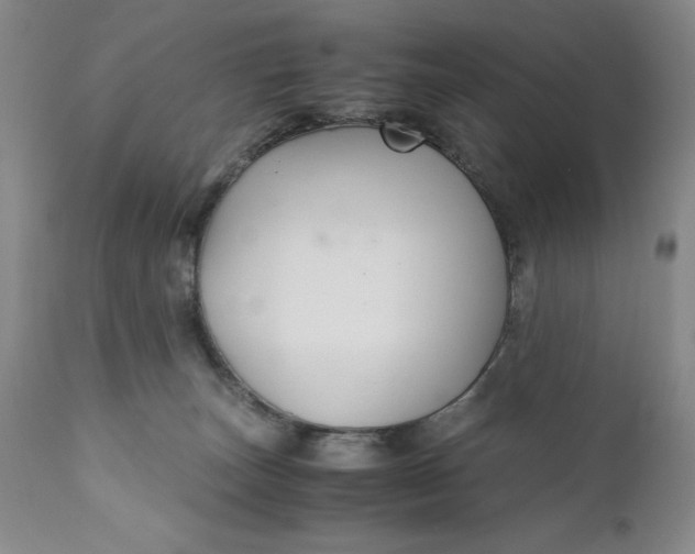 X0000110930179200907021531