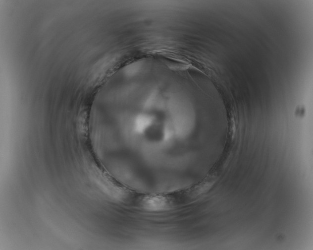 X0000110930181200907021532