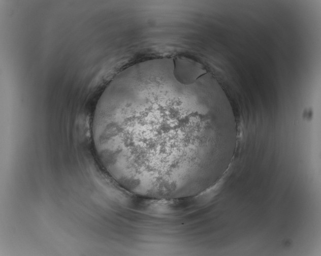X0000110930182200907021532