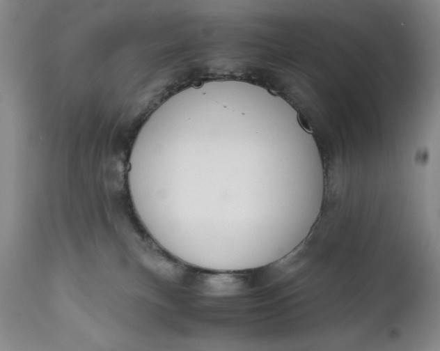 X0000110930183200907021532