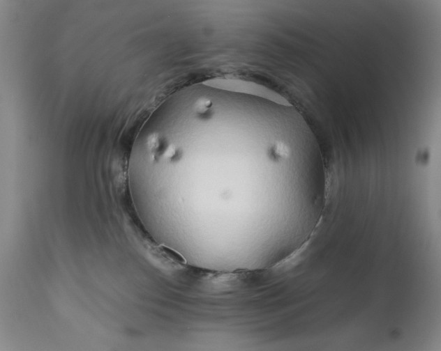 X0000110930186200907021532