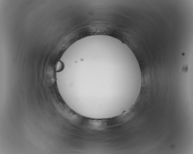 X0000110930187200907021532