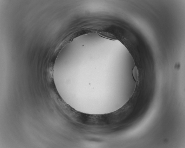 X0000110930190200907021532