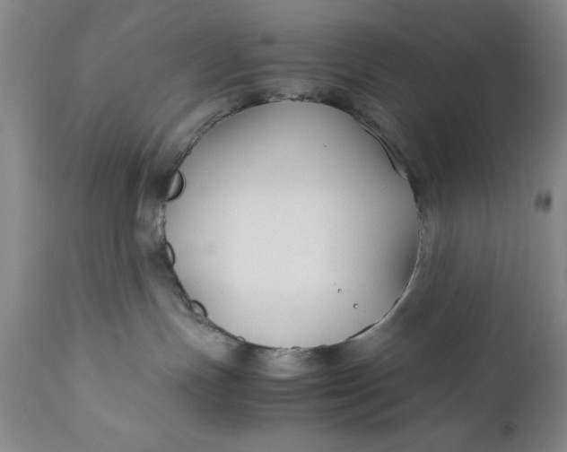 X0000110930191200907021532