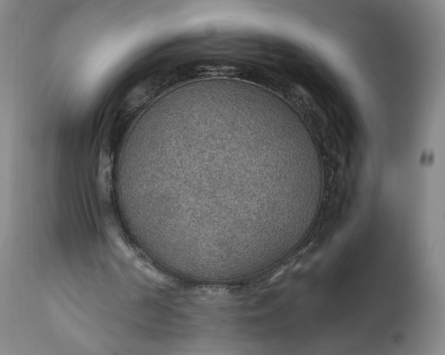 X0000110930194200907021531