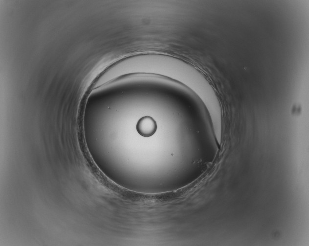 X0000110930195200907021531
