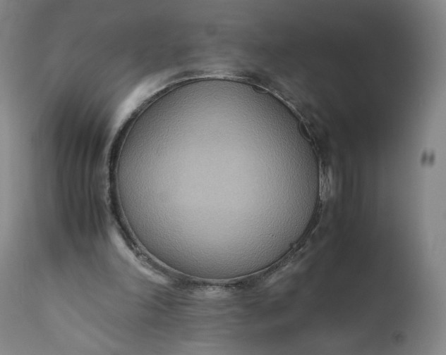 X0000110930198200907021531