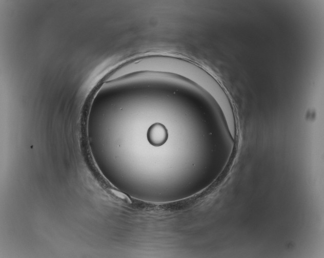 X0000110930199200907021531