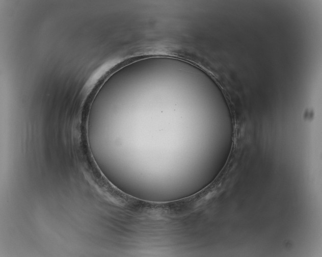 X0000110930200200907021531