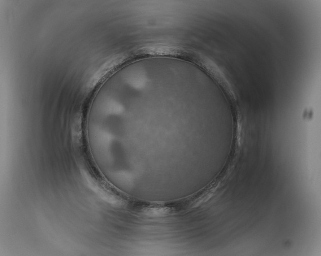 X0000110930202200907021531