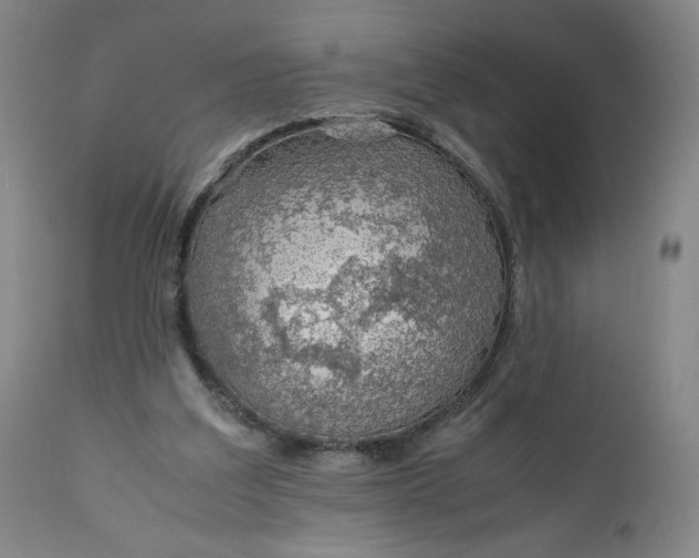 X0000110930203200907021531