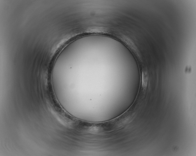 X0000110930204200907021531