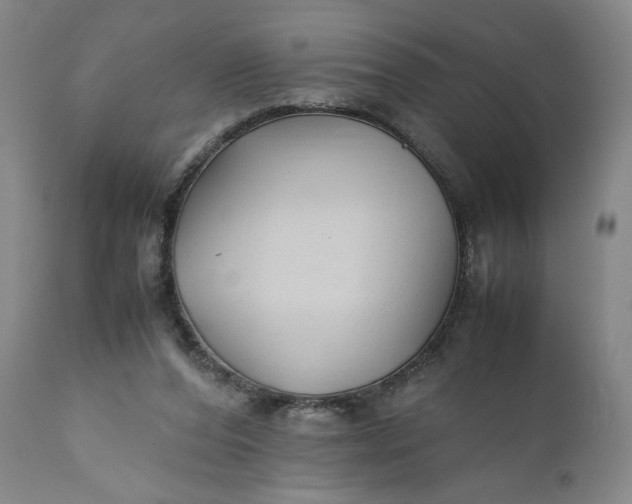 X0000110930208200907021530