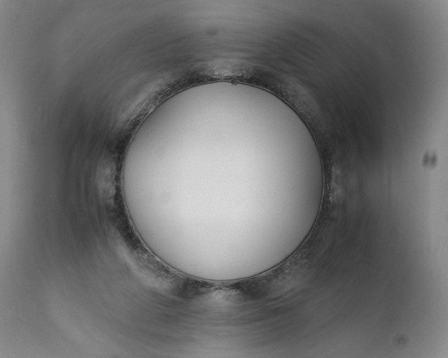 X0000110930210200907021530