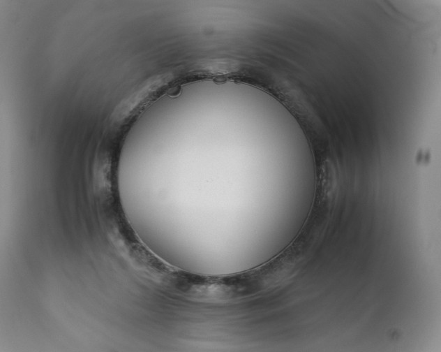 X0000110930212200907021530