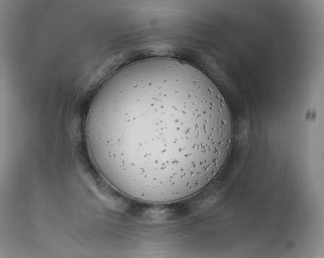 X0000110930213200907021530