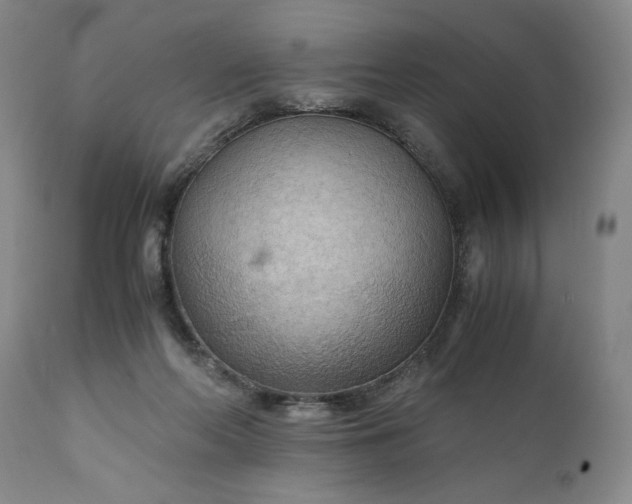 X0000110930214200907021530