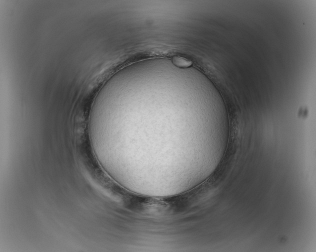 X0000110930215200907021530