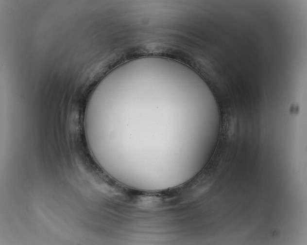 X0000110930220200907021530