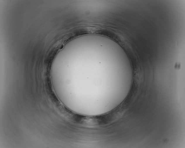X0000110930221200907021530