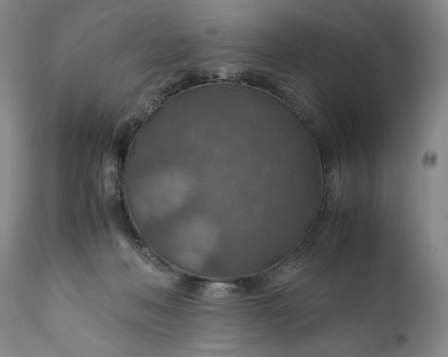 X0000110930222200907021530