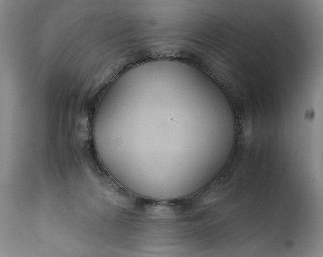X0000110930224200907021530