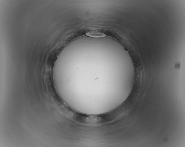 X0000110930225200907021530