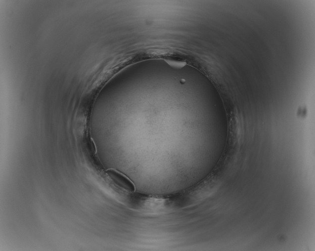 X0000110930227200907021530
