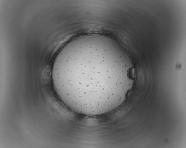 X0000110930228200907021530