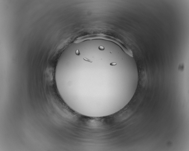 X0000110930232200907021530
