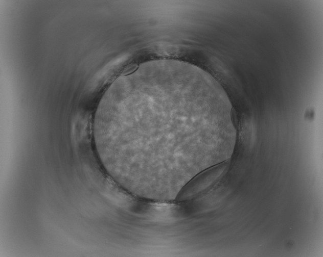 X0000110930233200907021530