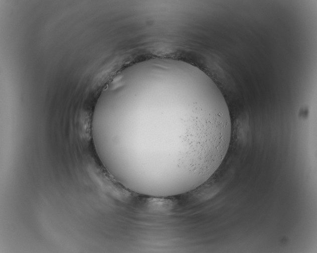 X0000110930234200907021530