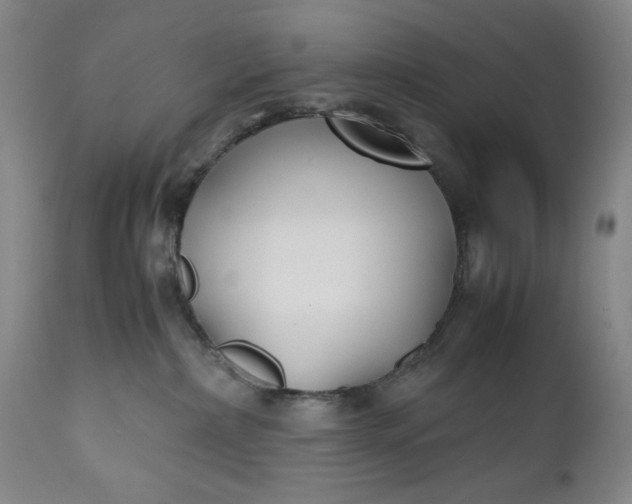 X0000110930236200907021530