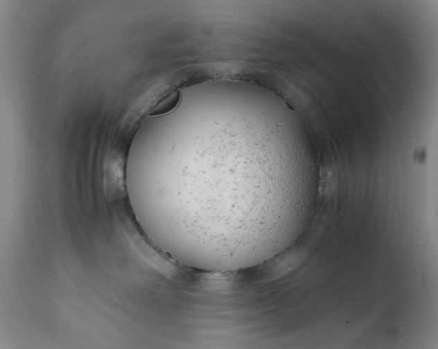 X0000110930238200907021530