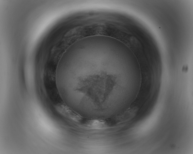 X0000110930239200907021530