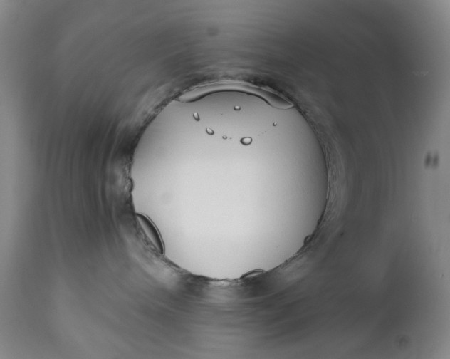 X0000110930240200907021530