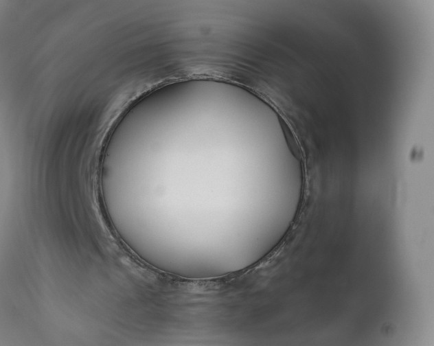 X0000110930241200907021529