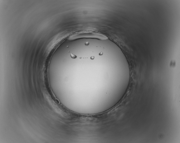 X0000110930242200907021529