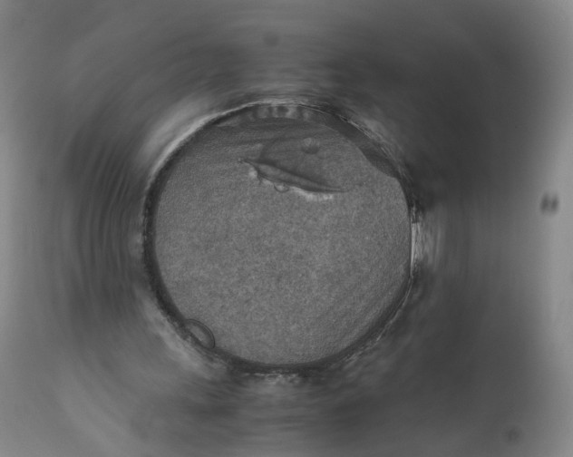 X0000110930243200907021529