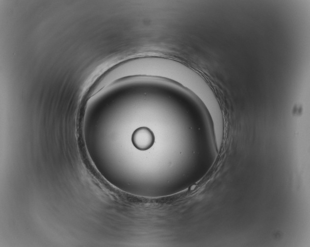 X0000110930244200907021529