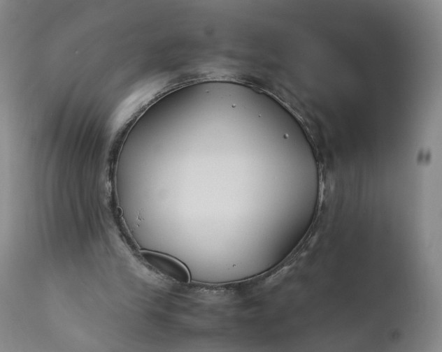 X0000110930245200907021529