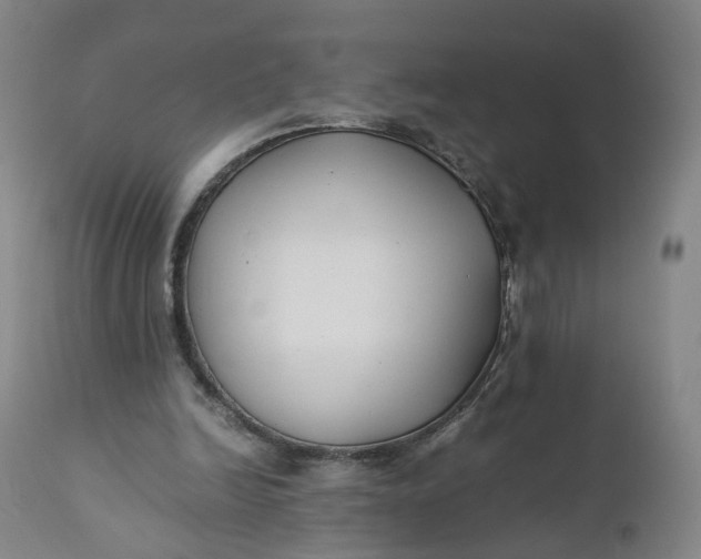 X0000110930246200907021529